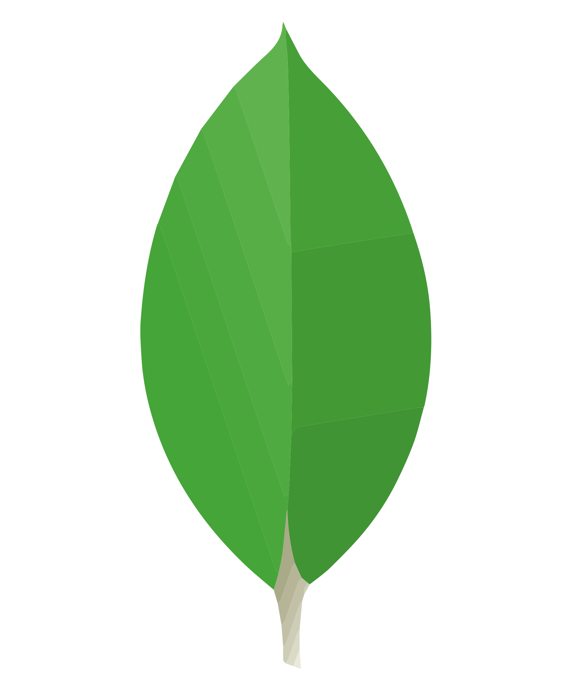 MongoDB
